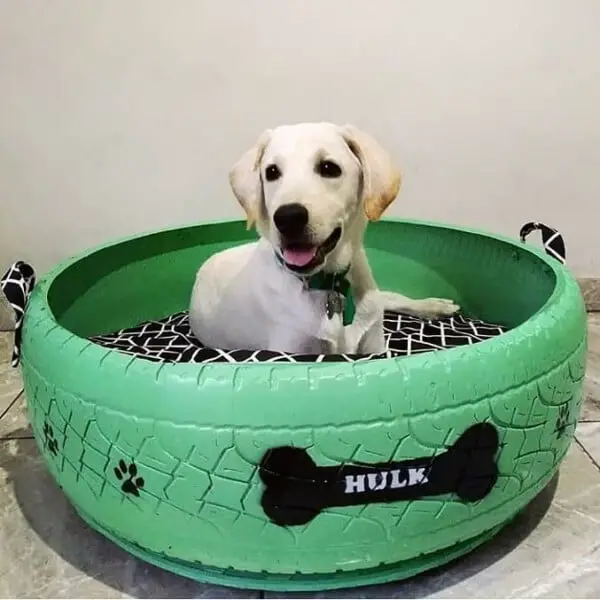 Artista transforma pneus em camas para animais abandonados Artista transforma pneus em camas para animais abandonados