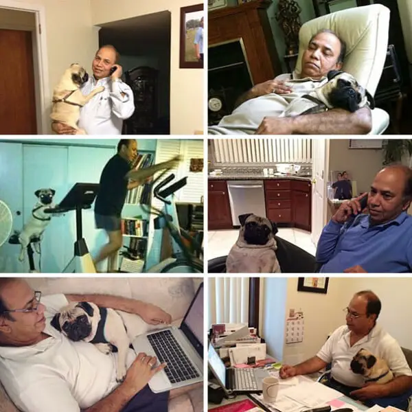 20 pais que não queriam cachorros, mas mudaram de ideia Eles não queriam cachorros – mas mudaram de ideia