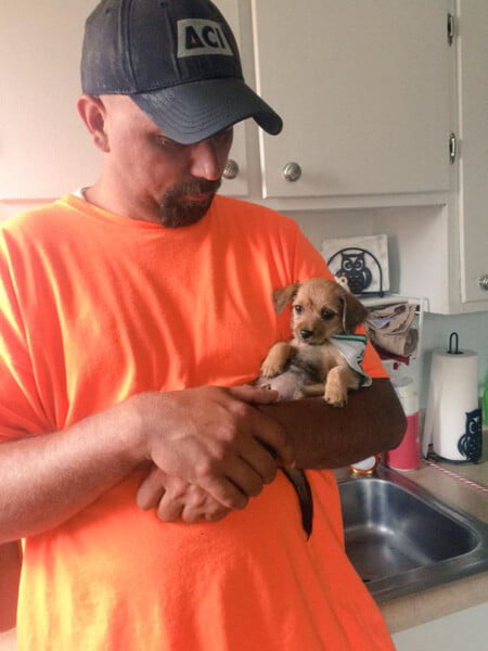 20 pais que não queriam cachorros, mas mudaram de ideia Eles não queriam cachorros – mas mudaram de ideia