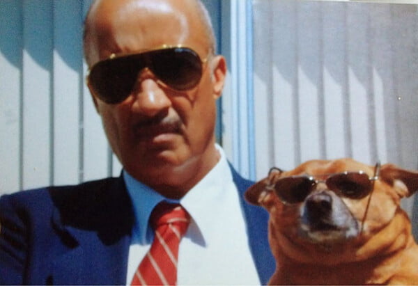 20 pais que não queriam cachorros, mas mudaram de ideia Eles não queriam cachorros – mas mudaram de ideia
