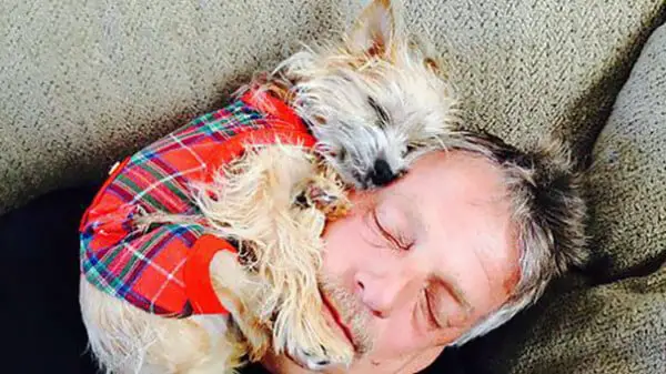 20 pais que não queriam cachorros, mas mudaram de ideia Eles não queriam cachorros – mas mudaram de ideia