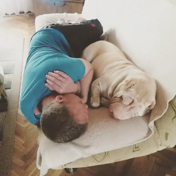 20 pais que não queriam cachorros, mas mudaram de ideia Eles não queriam cachorros – mas mudaram de ideia