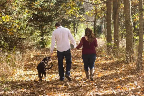 13 vantagens de namorar um amante de cachorros: prós e contras Vantagens de namorar amantes de cachorros