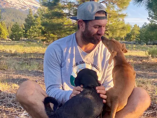 Homem pede demissão e viaja com cães Homem pede demissão e viaja com cães