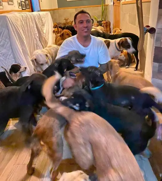 Homem acolhe 300 animais desabrigados para protegê-los de furação