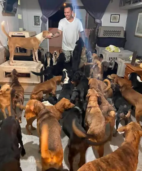 Homem acolhe 300 animais desabrigados para protegê-los de furação