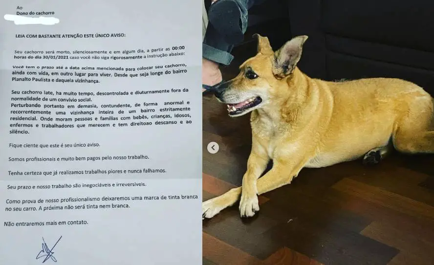 Família recebe carta anônima com ameaça de morte à cachorra Família recebe carta anônima com ameaça de morte à cachorra