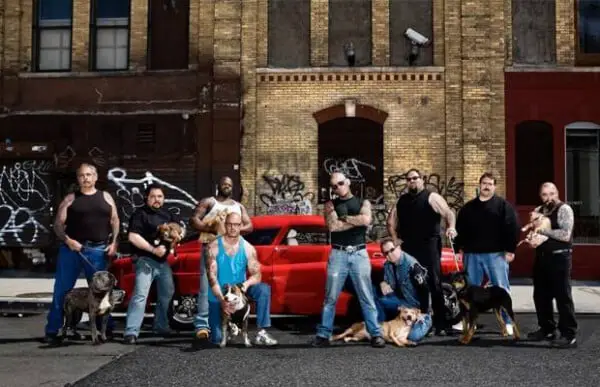 Grupo de motoqueiros liberta cães de rinhas em Nova York Gangues libertam caes3