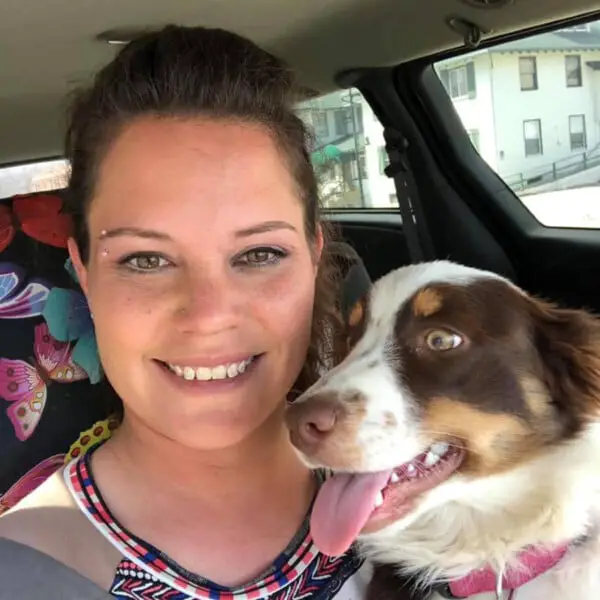 Cachorra perdida chora ao reencontrar a sua mãe Cachorra perdida chora ao reencontrar a sua mãe