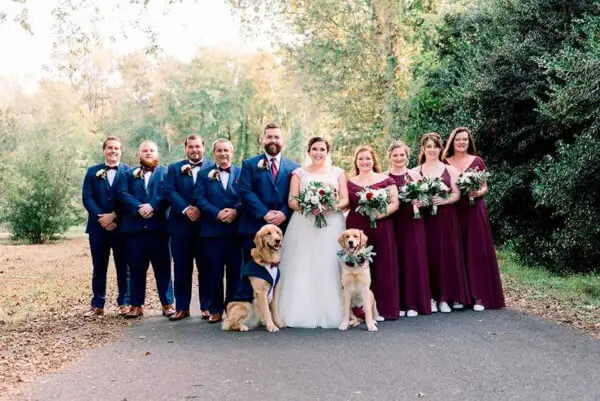 Cachorro foi o portador das alianças na cerimônia de casamento cachorro na cerimônia de casamento