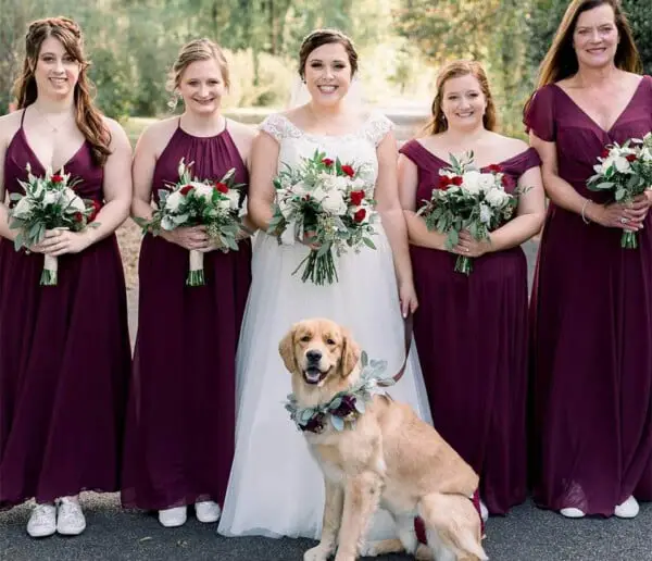 Cachorro foi o portador das alianças na cerimônia de casamento cachorro na cerimônia de casamento3