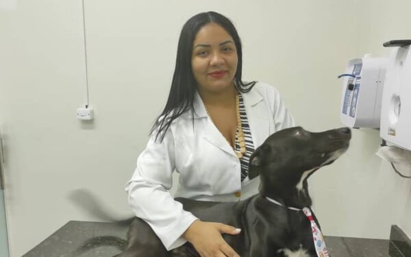 Cachorro machucado procura sozinho ajuda em clinica veterinária Cachorro procura ajuda veterinária