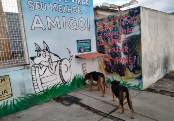 Moradores criam espaço de alimentação para animais de rua em cidade do ES Espaço pra alimentação animais de rua