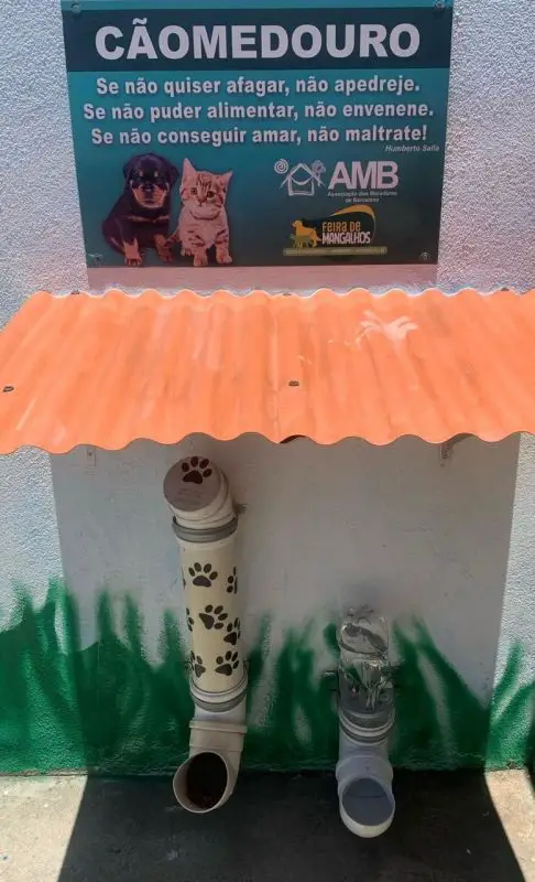 Moradores criam espaço de alimentação para animais de rua em cidade do ES Moradores criam espaço de alimentação para animais de rua em cidade do ES