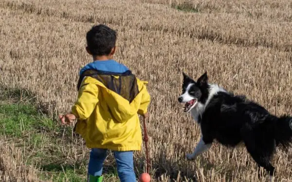 Convivência Cachorro e criança