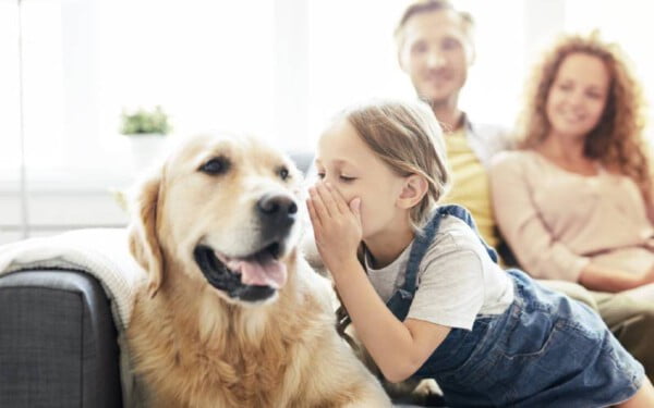 A linguagem corporal dos cachorros