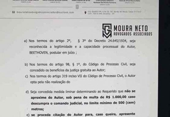 Cão assina petição contra agressor e recebe medida protetiva Cão assina petição contra agressor e recebe medida protetiva
