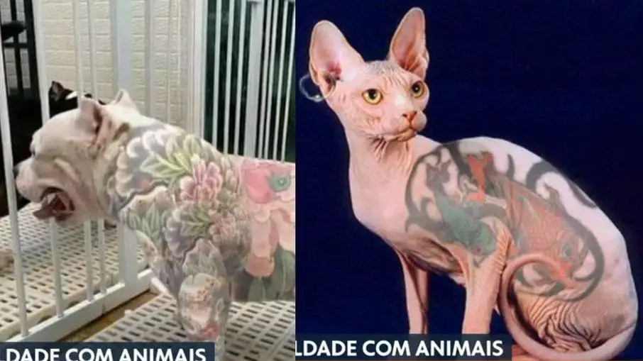 Tatuagens em animais são proibidas no Rio de Janeiro. O que você acha sobre isso? Tatuagens em animais são proibidas no Rio de Janeiro