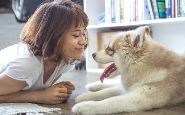 25 maneiras de seu cão dizer que te ama 25-maneiras-de-seu-cao-dizer-que-ama-voce