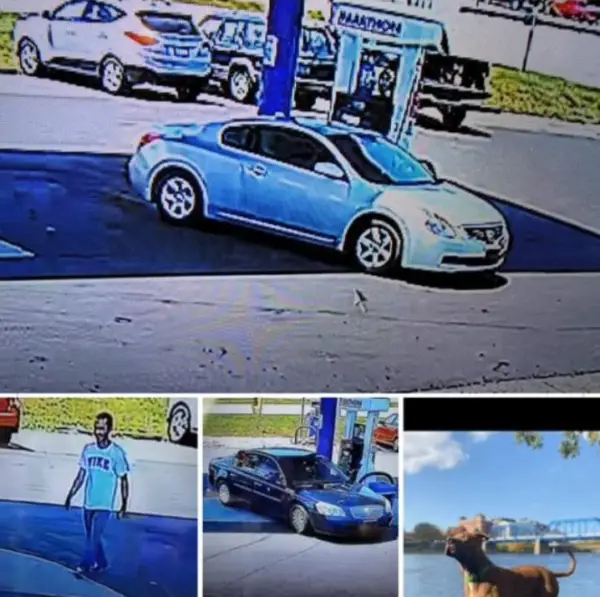 Cachorra é roubada junto com o carro e o reencontro é de derreter o coração Cachorra é roubada junto com o carro e o reencontro é de derreter o coração