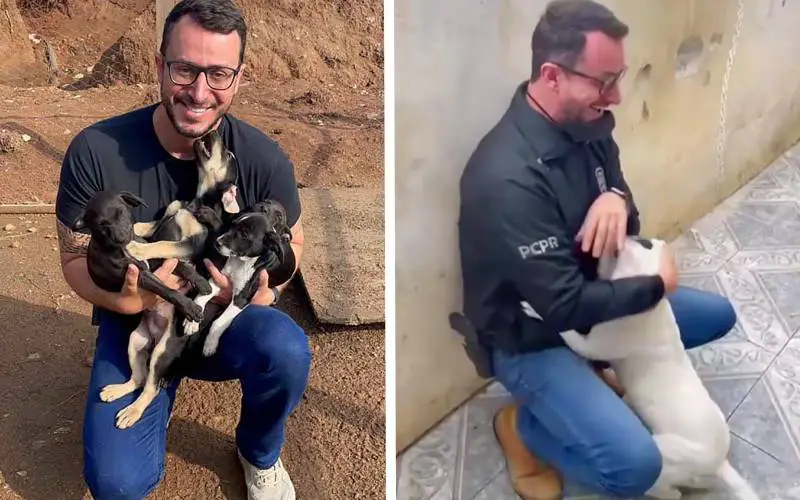 Cachorra libertada não para de beijar a pessoa que a salvou Cachorra libertada não para de beijar a pessoa que a salvou