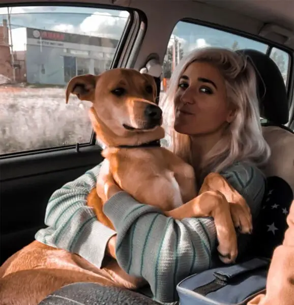 Reencontro emocionante de uma mulher e seu cachorro perdido por 3 meses mulher-reencontra-cachorro-perdido-por-tres-meses-1