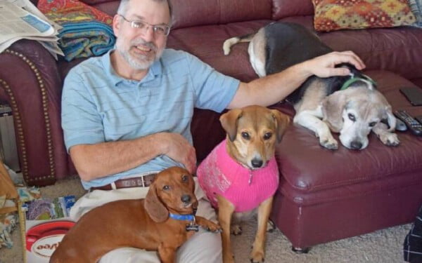 Americano cria asilo para cães idosos abandonados americano-cria-asilo-para-caes-idosos-abandonados