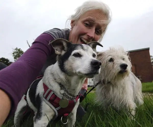 Mulher organiza local para animais idosos passarem os últimos dias