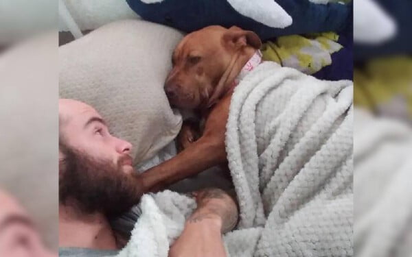 Cachorra é roubada junto com o carro e o reencontro é de derreter o coração Cachorra é roubada junto com o carro e o reencontro é de derreter o coração