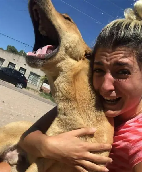 Reencontro emocionante de uma mulher e seu cachorro perdido por 3 meses Reencontro emocionante de uma mulher e seu cachorro perdido por 3 meses