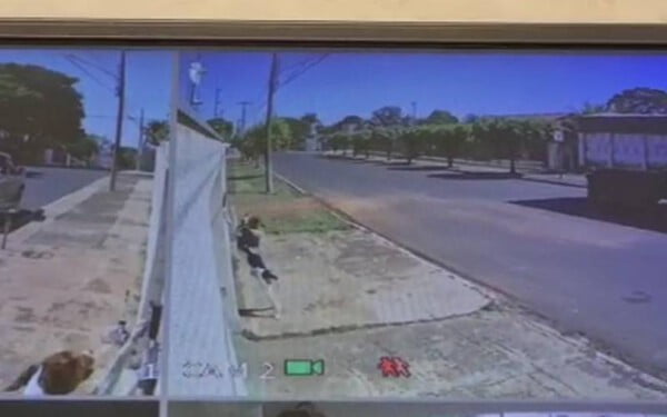 Cachorro toca campainha para entrar em casa e surpreende seu tutor: "pensava que era fantasma" Cachorro toca campainha para entrar em casa e surpreende seu tutor