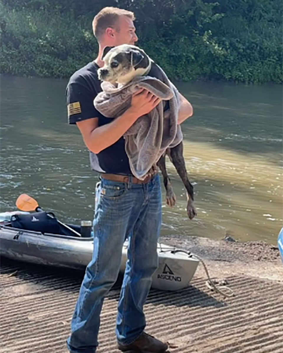 Canoístas resgatam cadela perdida em rio e salvam sua vida canoistas-resgatam-cadela-em-rio-4