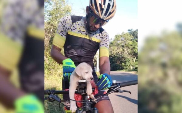Ciclistas resgatam cachorrinho na beira da estrada e mudam suas vidas para sempre Ciclistas resgatam cachorrinho na beira da estrada e mudam suas vidas para sempre