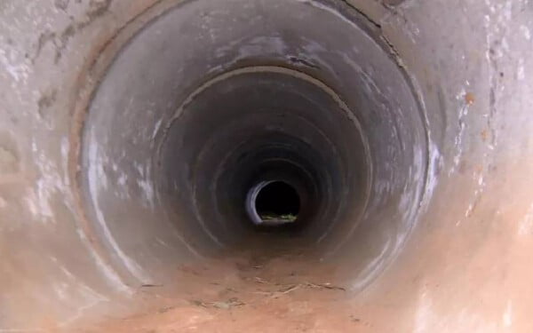 Cachorro da família ajuda a encontrar criança desaparecida a mais de 4 horas crianca-desaparecida-e-encontrada-gracas-ao-cachorro-da-familia-2