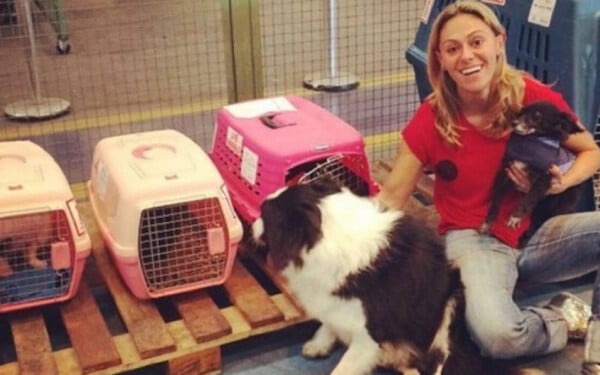 Família brasileira deixa o país e leva junto os 12 animais de estimação Família brasileira deixa o país e leva junto os 12 animais de estimação
