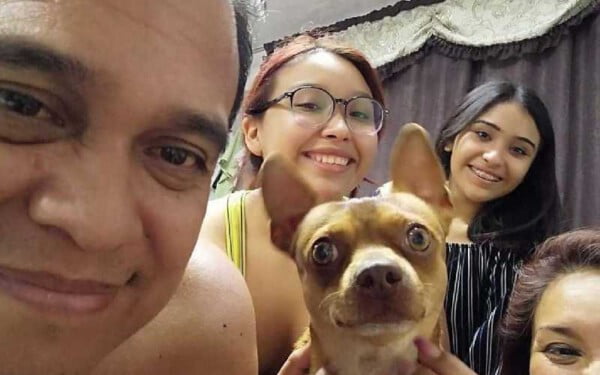 Cachorrinho fica muito feliz com a festa surpresa feita por sua família familia-faz-festa-surpresa-para-cachorrinho-4
