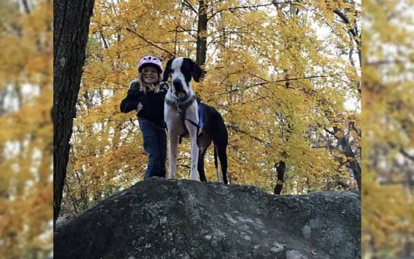 Garota de 13 anos com doença rara, volta a andar com a ajuda de seu cachorro