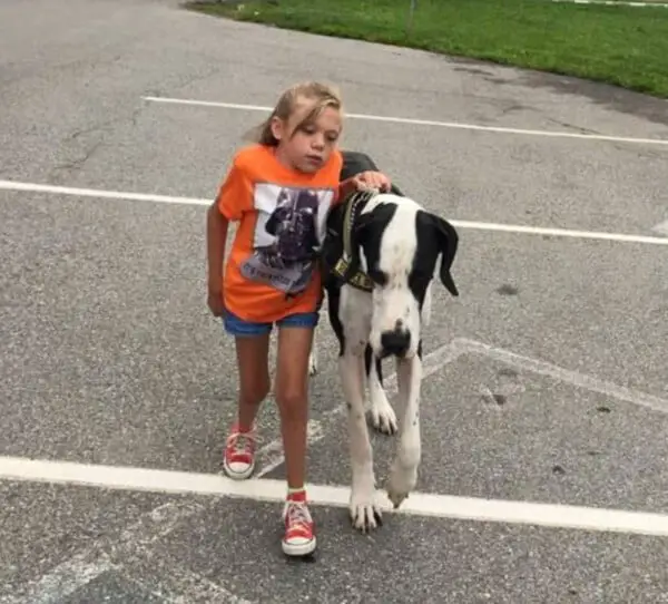 Garota de 13 anos com doença rara, volta a andar com a ajuda de seu cachorro Garota de 13 anos com doença rara, volta a andar com a ajuda de seu cachorro