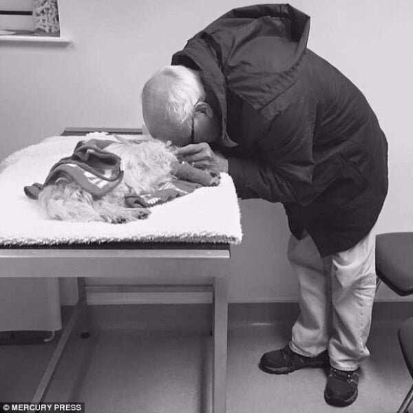 O difícil momento em que um homem se despede de seu cão O difícil momento em que um homem se despede de seu cão