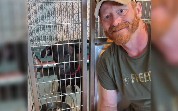 Homem quebra janela para salvar cachorro preso em carro Homem quebra janela para salvar cachorro preso em carro