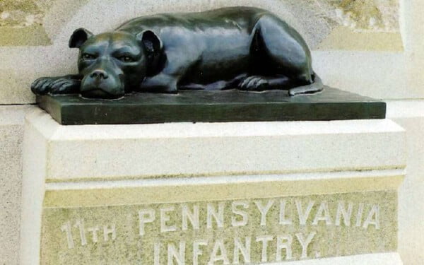 Pessoas continuam deixando ossos no memorial de um cão herói Pessoas continuam deixando ossos no memorial de um cão herói