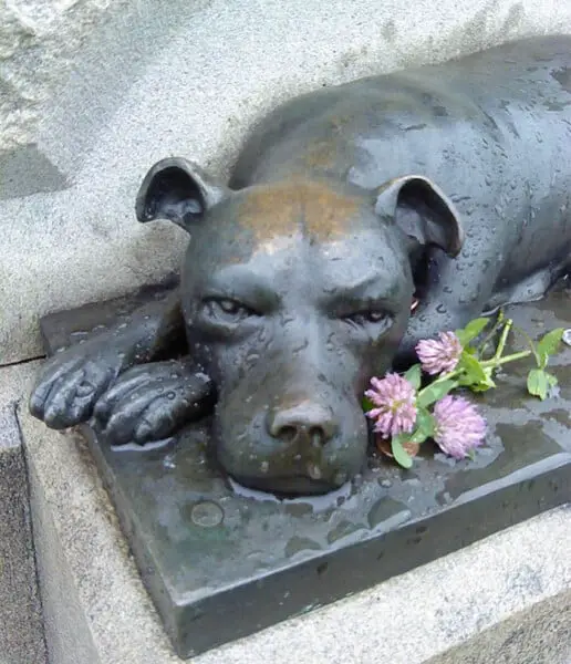 Pessoas continuam deixando ossos no memorial de um cão herói Pessoas continuam deixando ossos no memorial de um cão herói