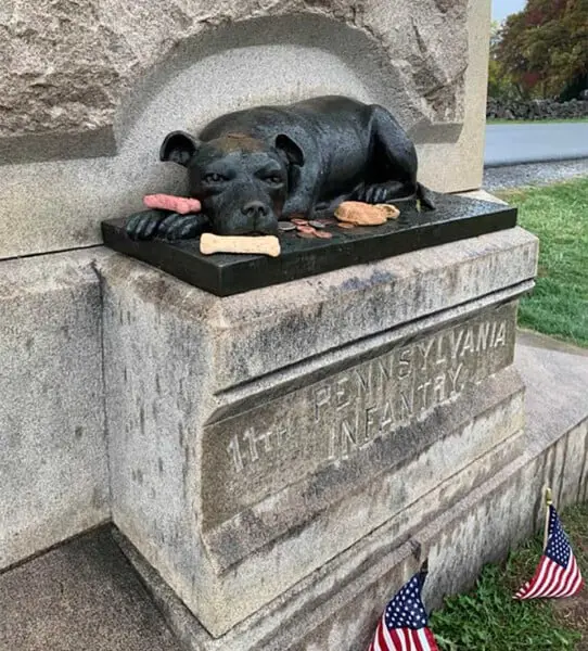 Pessoas continuam deixando ossos no memorial de um cão herói