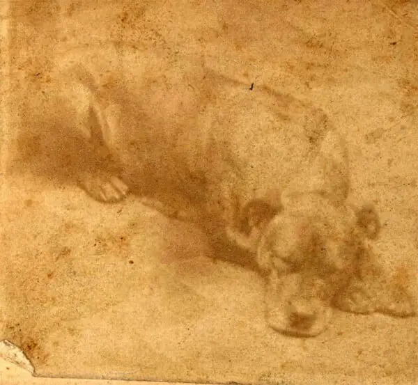 Pessoas continuam deixando ossos no memorial de um cão herói Pessoas continuam deixando ossos no memorial de um cão herói