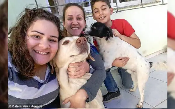 Mulher encontra cachorro no motor do carro ao verificar sinais de defeito mulher-encontra-cachorro-no-motor-do-carro-2