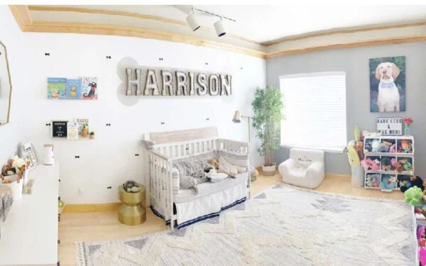 Realizando sonho, mulher prepara enxoval e quarto de bebê para seu novo cachorrinho asomadetodosafetos.com - Realizando sonho, mulher prepara enxoval e quarto de bebê para seu novo cachorrinho