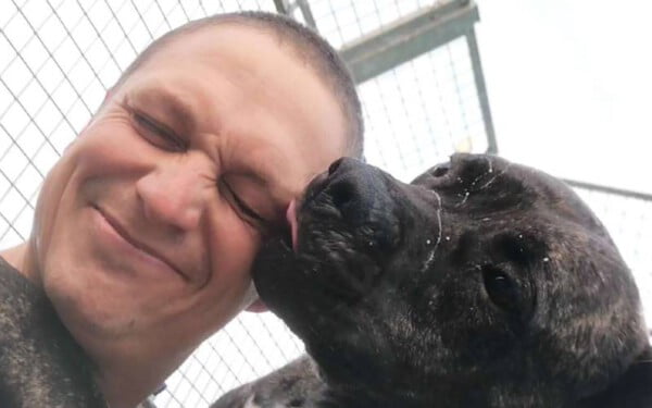 Cachorro vê mais de 220 cães serem adotados enquanto espera uma família há 2 anos Cachorro vê mais de 220 cães serem adotados enquanto espera uma família há 2 anos