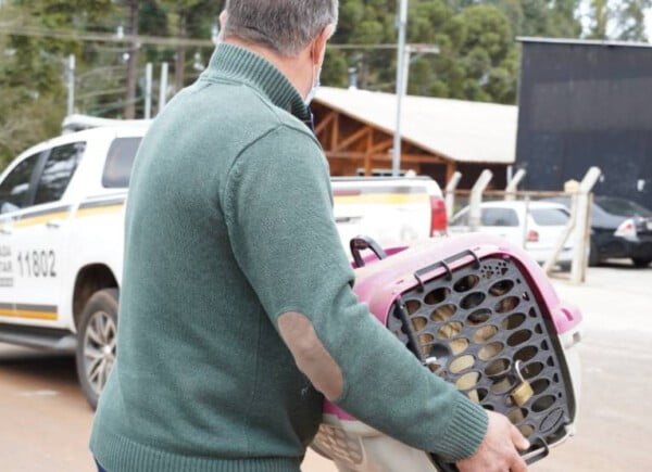 Cerca de 50 cães vítimas de maus tratos são resgatados em Passo Fundo Cerca de 50 cães vítimas de maus tratos são resgatados em Passo Fundo