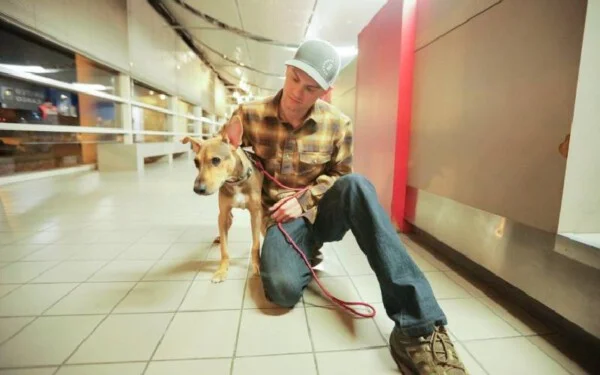 Cachorro abandonado em ilha é adotado por fotógrafo que o salvou