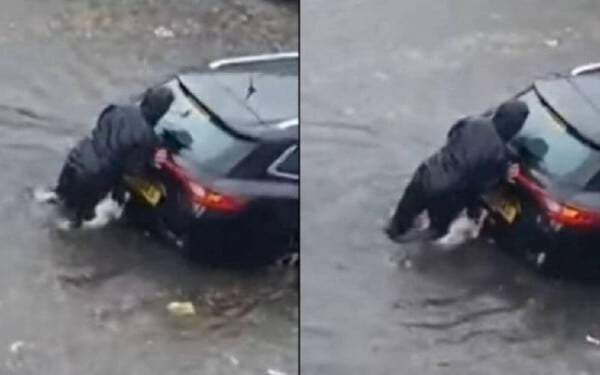 Cachorro ajuda a empurrar o carro em enchente e viraliza na internet